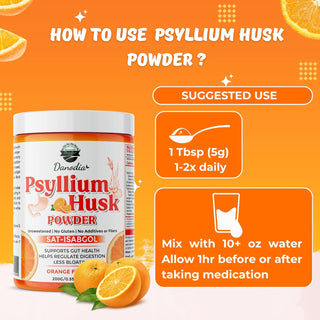 Danodia Foods Organic Psyllium Husk Powder Orange Flavor