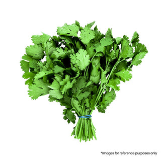 Dhaniya (Coriander Leaves)