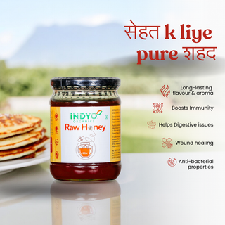 Indyo Organic Raw Honey 500g