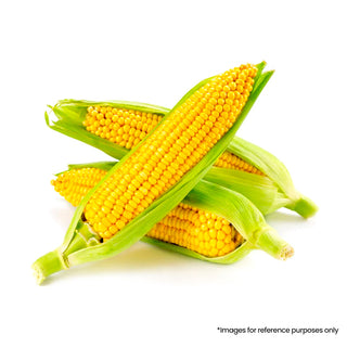 Makka (Sweet Corn)