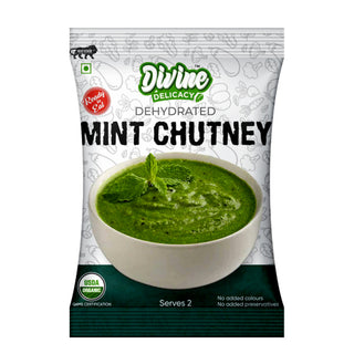 Divine Delicacy READY TO EAT MINT CHUTNEY