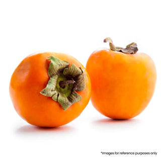 Persimmon ( Ramphal)