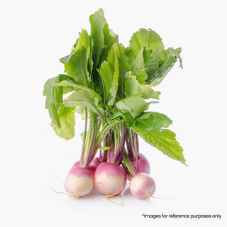 Shalgam (Turnip)