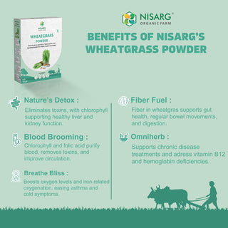 Nisarg Wheatgrass Powder 100g
