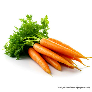 Gajar (Carrot)