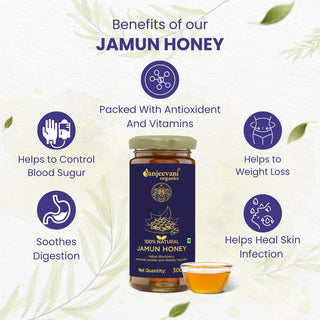 Sanjeevani Organic 100% Natural Jamun Honey 300g